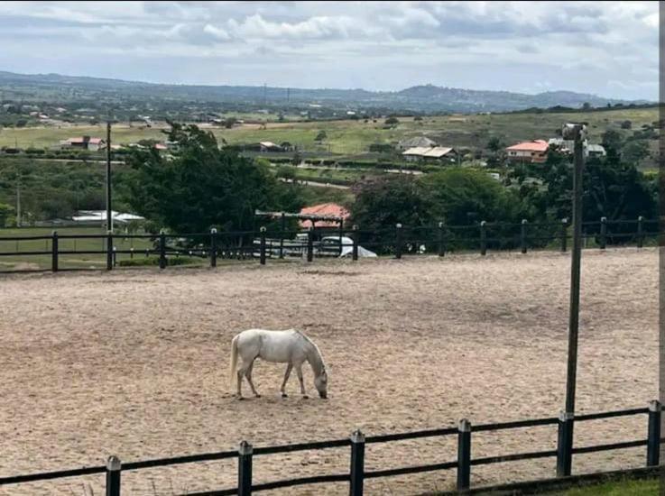 Flat No Hotel Fazenda Monte Castelo Gravata Condominio Екстериор снимка